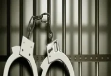 जीजा गया जेल साले को मार डाला जानें पूरा मामला 1648448972