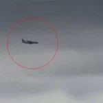 1912952 untitled 131 copy