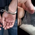 1915049 untitled 14 copy