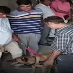 9 मंजिला बिल्डिंग के पास मिला युवक का शव, डॉग स्कॉड की टीम मौके पर 1945363 untitled 50 copy