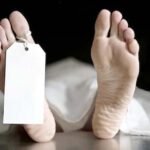 2021 2image 22 14 407302996deathinpanota