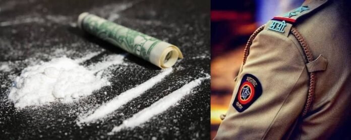 299127779 615245876910090 4318545039168074991 n