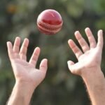 2istockphoto 801663446 612x612 1