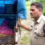 फंदे पर मिली नवविवाहिता, मायके वालों ने मृतका के ससुराल वालों पर लगाया गंभीर आरोप,छत्तीसगढ़ में BN banswara News