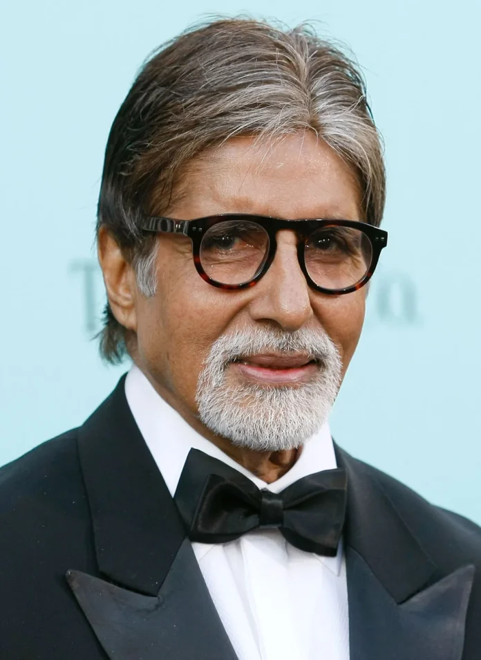 Indian actor Amitabh Bachchan 2013