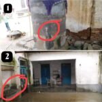 WhatsApp Image 2022 08 18 at 3.21.24 AM