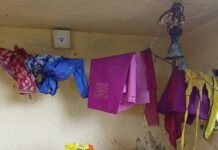 शीतला सप्तमी (थदड़ी) का पर्व श्रद्धापूर्वक मनाया गया ! WhatsApp Image 2022 08 18 at 3.48.00 AM