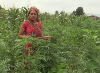 WhatsApp Image 2022 08 22 at 4.39.47 AM