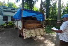 लाखों की सागौन लकड़ी जब्त 2009538 untitled 252 copy