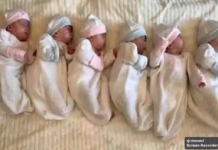 महिला ने एक साथ 6 बच्चो को दिया जन्म एक ने पैदा होते ही तोड़ दिया दम Screenshot 09 16 2022 15.07.45