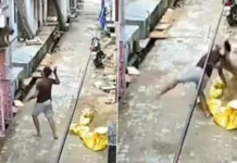 बंदर को भगाने की कोशिश कर रहा था शख्स, गुस्साए जानवर ने छलांग लगाकर किया हमला। 2131368 untitled 18 copy