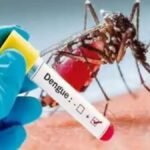 four people positive in dengue report from lucknow report from lucknow amid corona crisis 1604563310 1