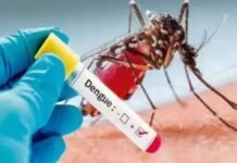 MP में डेंगू को लेकर अलर्ट स्वास्थ्य विभाग ने की बैठक दिवाली के बाद चलेगा विशेष अभियान दिए ये अहम निर्देश। four people positive in dengue report from lucknow report from lucknow amid corona crisis 1604563310 1