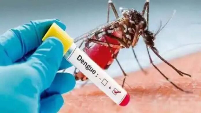 four people positive in dengue report from lucknow report from lucknow amid corona crisis 1604563310 1 four people positive in dengue report from lucknow report from lucknow amid corona crisis 1604563310 1