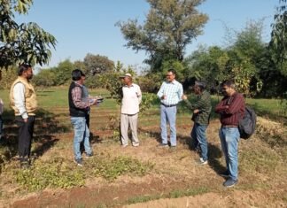 WhatsApp Image 2022 11 26 at 6.30.42 PM