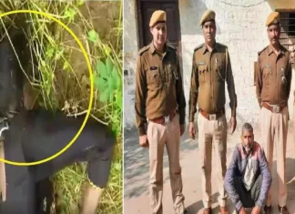 जालिम बाप ने बेटी को उतारा मौत के घाट आरोपी को किया गिरफ्तार। 2300716 untitled 57 copy