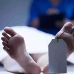 2310793 untitled 19 copy