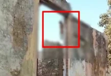 बंदर को मारकर लटकाया लोगों में गुस्सा। 2354071 untitled 138 copy