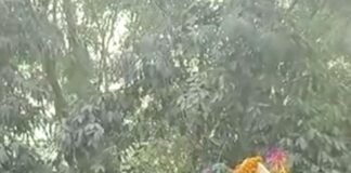 आमरण अनशन पर बैठे परमपूज्य आचार्य श्री 108 सुनील सागर महाराज के शिष्य मुनि श्री 108 सुज्ञेय सागर महाराज का जयपुर सांगानेर में सुबह 6:00 बजे हो गया समाधि मरण WhatsApp Image 2023 01 03 at 5.16.44 PM