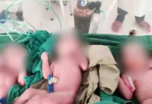 महिला ने एक समय में 3 बेटियों को दिया जन्म। 2605821 untitled 60 copy