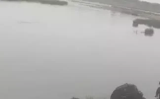 नदी पार कर रहे 17 लोग बहे देवी दर्शन के लिए निकले थे सभी लोग। 2665290 untitled 14 copy