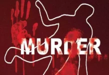 बहन को मार डाला जानें भाइयों ने क्यों उठाया ये खौफनाक कदम। 2675550 untitled 17 copy