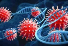 छत्तीसगढ़ में कोरोंना की रफ्तार हुई तेज़, दो जिलों में मिले इतने पॉजिटिव। 2704406 untitled 38 copy