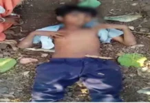 पेड़ से गिरा नाबालिग पेट में घुसी लकड़ी। 2761598 untitled 38 copy