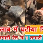 राजतालाब निर्माण नवीनीकरण कार्य में कारीगर व ठेकेदार द्वारा घटिया निर्माण 25 तगारी रेत व रेपा में एक तगारी सीमेंट। WhatsApp Image 2023 04 02 at 6.51.22 PM