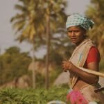 पेंशन ले रहे लोगो का सत्यापन अब जनाधार से भी हो सकेगा। Field journal