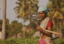 पेंशन ले रहे लोगो का सत्यापन अब जनाधार से भी हो सकेगा। Field journal