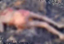 खेत में जिंदा जल गई महिला, पराली जलाते वक्त हुआ हादसा। 2962012 page 12 copy