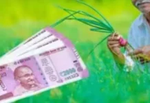 किसानों के लिए खास खबर। 3054441 untitled 12 copy