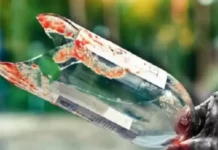 दुकानदारों के बीच खूनी संघर्ष कांच की बोतल को फोड़ किया जानलेवा हमला। IMG 20230606 175204