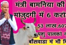 TAD राज्य मंत्री अर्जुन सिंह बामनिया की मौजूदगी में 6 करोड़ 53 लाख रूपये 607 पशुपालको के खाते में जमा होने की घोषणा मुख्यमंत्री अशोक गेहलोत ने ऑनलाइन कॉन्फ्रेंस कर की घोषणा। aa0ef3d8 87d2 40f6 a688 2057b12b07b5