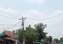 आदिवासी आरक्षण मंच ने अडिग रहते हुए सरकार के खिलाफ जुलूस निकालकर पुतले फूंके। b0335d75 fec3 404e 92bb 752135474aaa