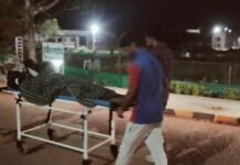 टॉवर सुधारने चढ़ा कर्मचारी 30 फिट ऊंचाई से गिरा, मौके पर मौत, 1 गंभीर घायल। image 2023 06 09T213202.447