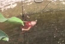 MP में दर्दनाक घटना: 2 बच्चों के साथ मां ने कुएं में लगाई छलांग, डूबने से तीनों की मौत। सीधी