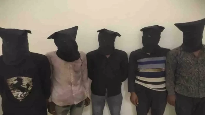 3144975 untitled 87 copy