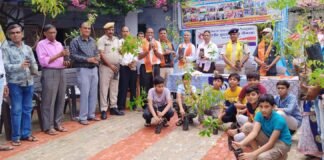 महावीर इंटरनेशनल शाखा नौगामा द्वारा वृक्षारोपण कार्यक्रम किया गया , 6a60a2a6 35d3 453f bd26 dc7898b0c1b0