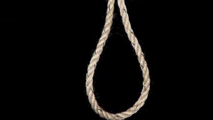 95916065 c988d674 3cc7 4d9d bd3e 02b3ea521238