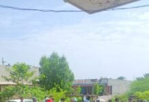 हनीमेश मेडिकल छात्र हत्याकाण्ड ,खुलासा करने हेतु सपा ज्ञापन , de14adc1 5a0b 470c 84a7 7d4123eb32fe