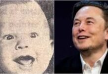 एलन मस्क की बचपन की तस्वीर सोशल मीडिया पर हुई वायरल, जानें उन्होंने क्या दी प्रतिक्रिया, images