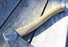 पति की हत्या कर शव के किए 5 टुकड़े, पत्नी ने नहर में फेंका, images