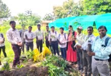 एजुकेट गर्ल्स संस्था के टीम बालिकाओं ने ‘एक पेड़ बालिका शिक्षा के लिए’ नारा लगाकर मनाया अंतरराष्ट्रीय युवा दिवस, BN banswara news.