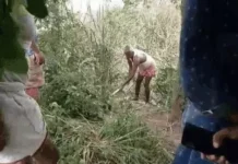 जमीन में दफन युवक के शव को पुलिस ने किया बरामद, प्रेम प्रसंग में हत्या की आशंका, BN banswara news