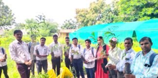 एजुकेट गर्ल्स संस्था के टीम बालिकाओं ने ‘एक पेड़ बालिका शिक्षा के लिए’ नारा लगाकर मनाया अंतरराष्ट्रीय युवा दिवस, BN banswara news.