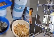 230 करोड़ रु. की एMD ड्रग्स,के 13 आरोपियों को पकड़ा, 4 फैक्ट्रियों में दबिश देकर पकड़ी अमरेली-गांधी नगर में कुलदीप चलाता था फैक्ट्रीसिरोही से 115 किलो ड्रग्स बरामद,मनोहरलाल,कुलदीप सिंह राजपुरोहित,रगाराम मेघवाल, बजरंगलाल बिश्नोई,नरेश मकवाणा,कन्हैया लाल गोहिल, हरीश सोलंकी, दीपक सोलंकी,शिवरतन अग्रवाल को पकड़ा।कई है अभी फरार BN 230 karod ki md nashe ki khep