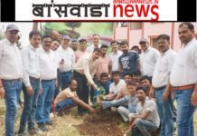 बांसवाड़ा,आर.एस.डब्ल्यू.एम. लिमिटेड मयूर नगर लोधा में विश्व पर्यावरण दिवस मनाया गया। banswara news mirza