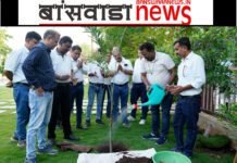 बांसवाड़ा विश्व पर्यावरण दिवस के अवसर पर आर एस डब्ल्यू एम एल एन जे डेनिम और निट्स संस्थान में वृहत वृक्षारोपण कार्यक्रम । banswara news mirza mayur lodha (2)